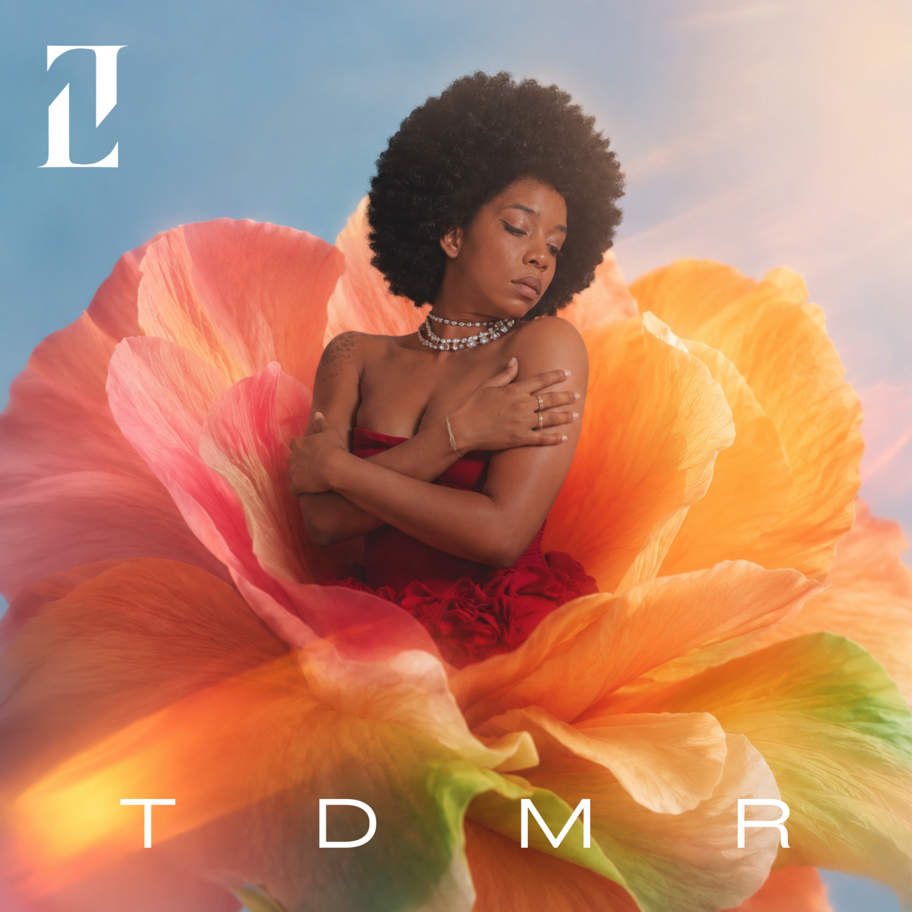 Pochette du single TDMR